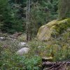 09 b Schluchensteig Etappe 4 - 6
